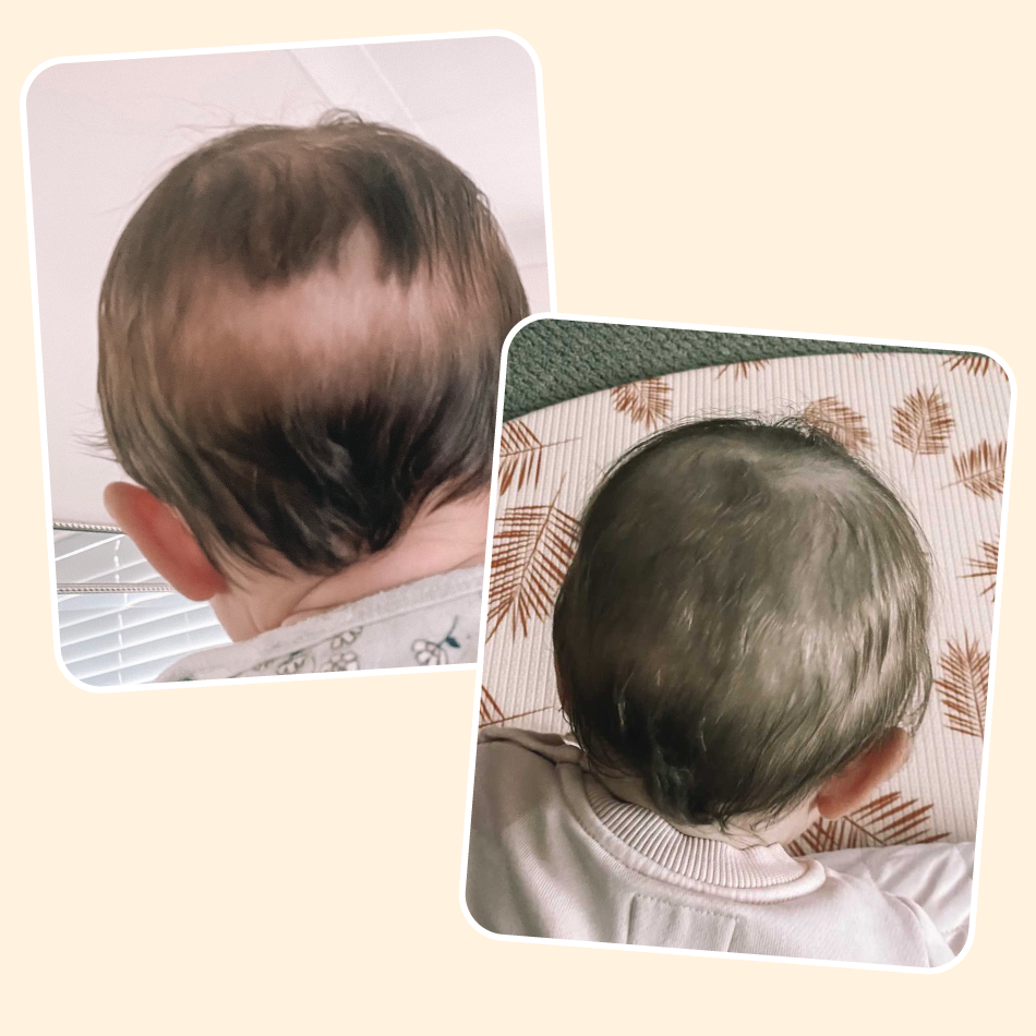Silky Tots US