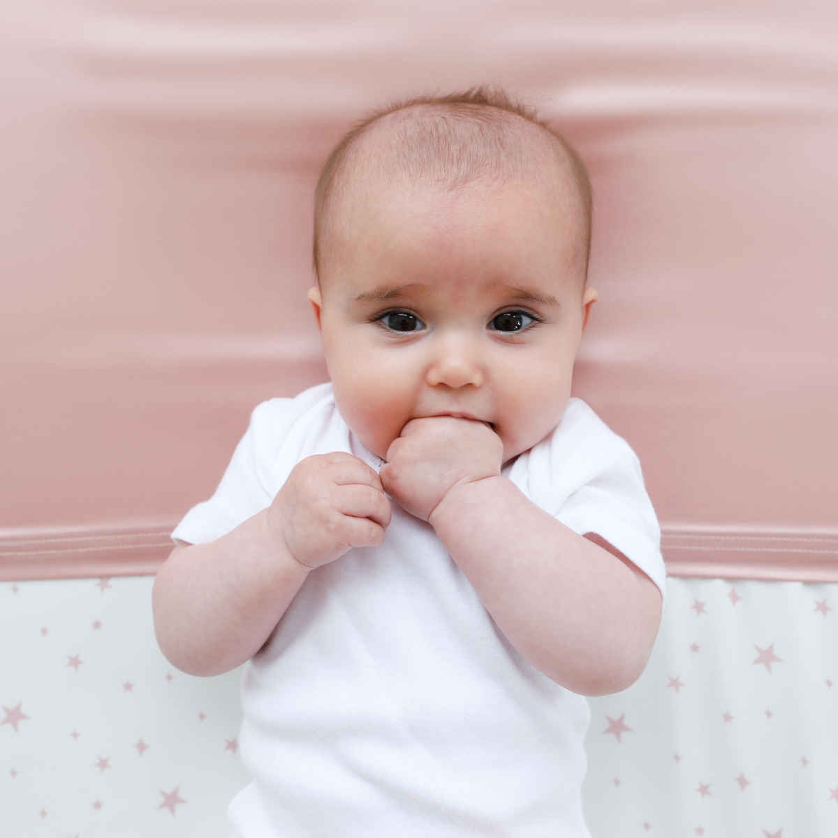 Silky Tots US