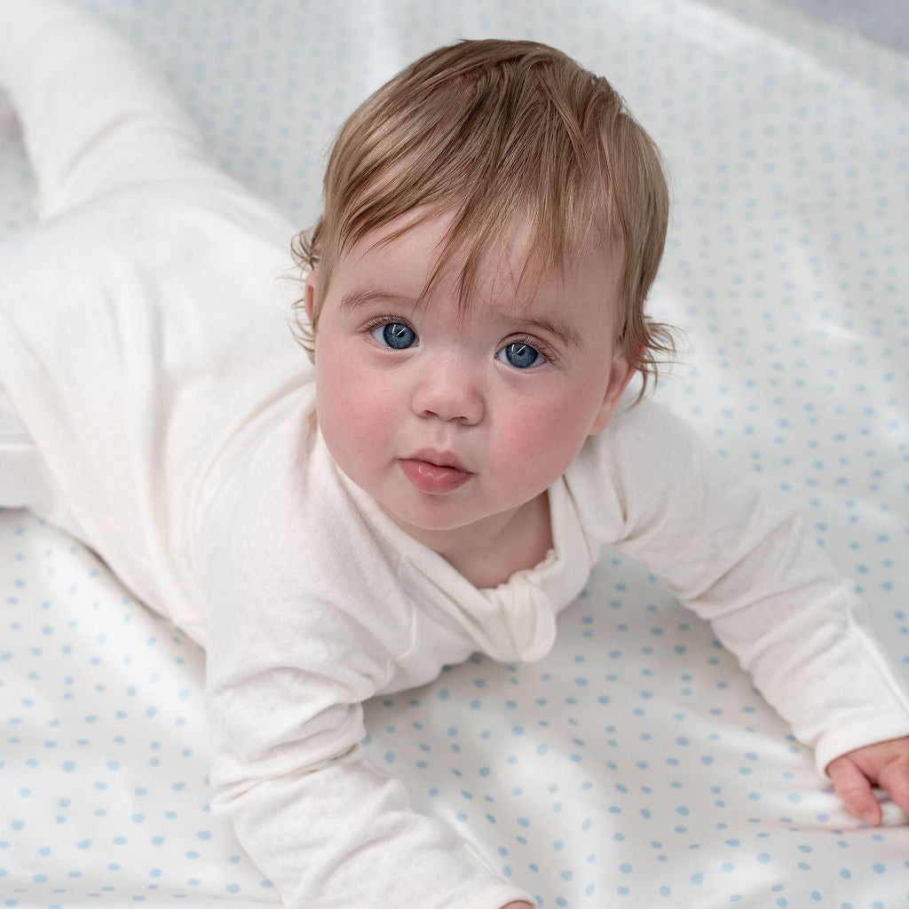 Silk Flat Sheet/Blankie
